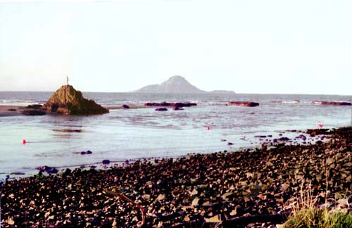 Whakatane restored