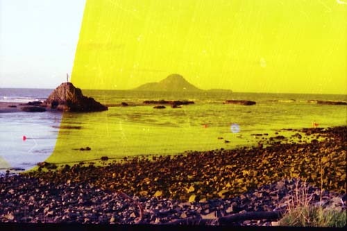 Whakatane